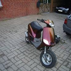 Piaggio zip/stalker byttet