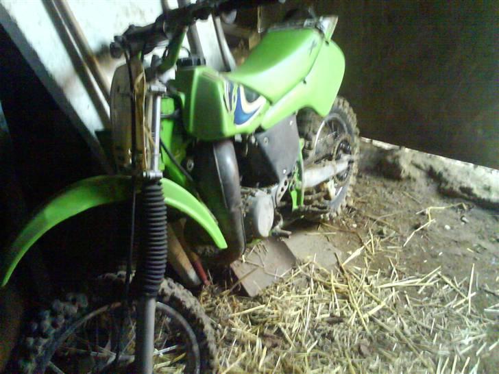 Kawasaki 65cc billede 2