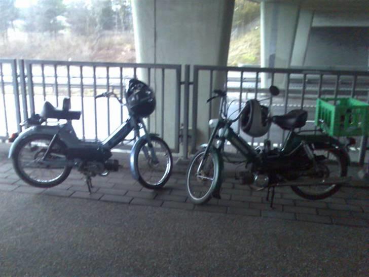 Puch Maxi Zwei Gear "Kutteren"     .:SOLGT:. - Årets første PMS Aalborg træf under humlebakken til en bette pilsner billede 13