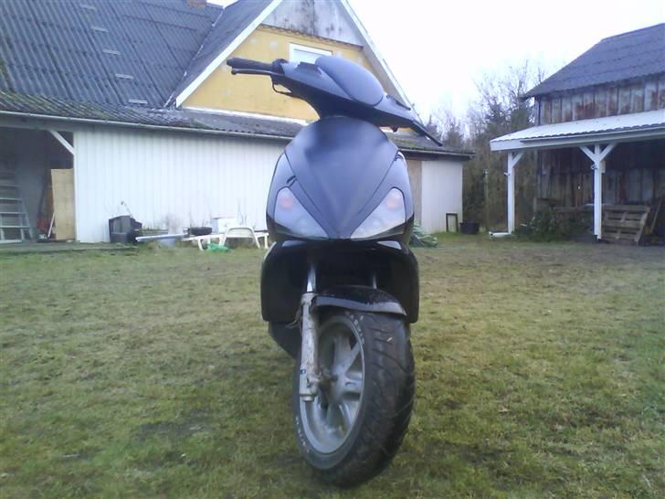 Benelli 491!.. billede 4