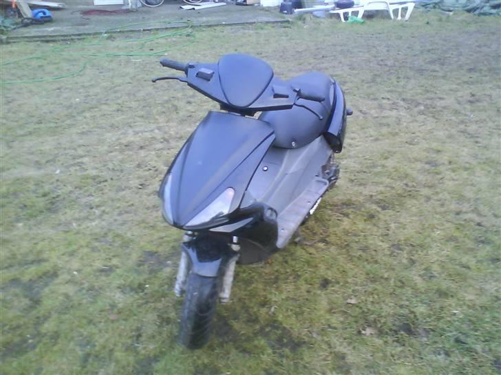 Benelli 491!.. billede 5