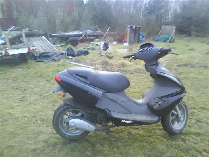 Benelli 491!.. billede 7