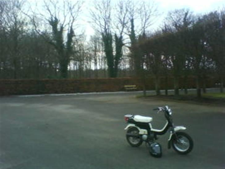 Suzuki Fz50 [SOLGT] - Lækker vinkel :D billede 1