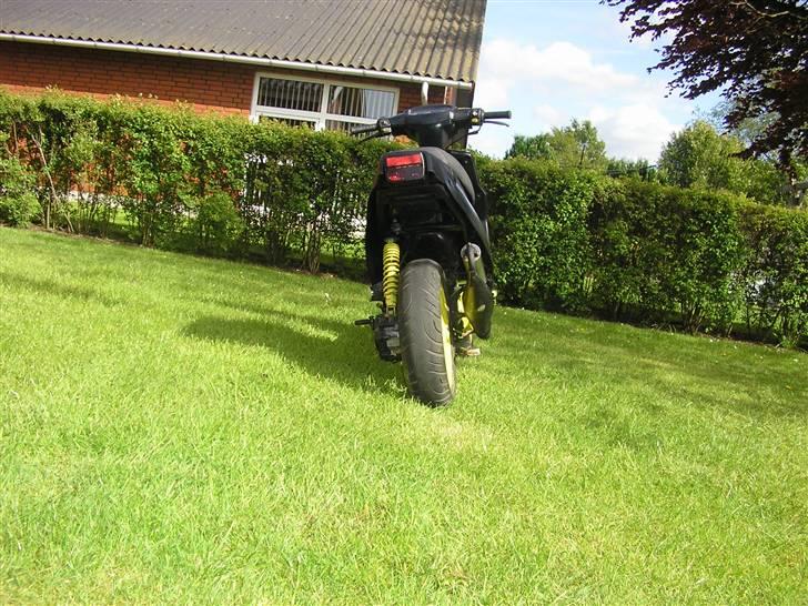PGO (hot) / Big max..solgt billede 6