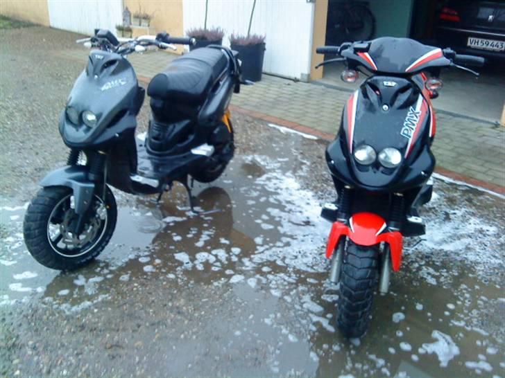 PGO PMX sport billede 11