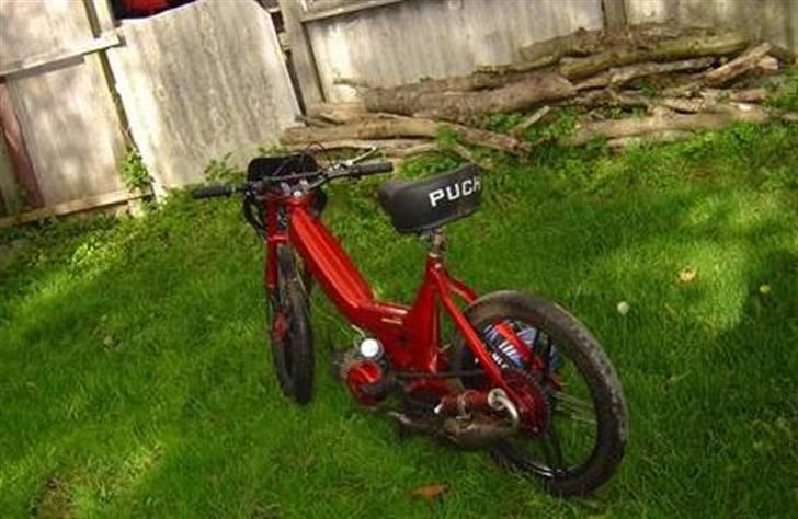 Puch maxi solgt billede 5