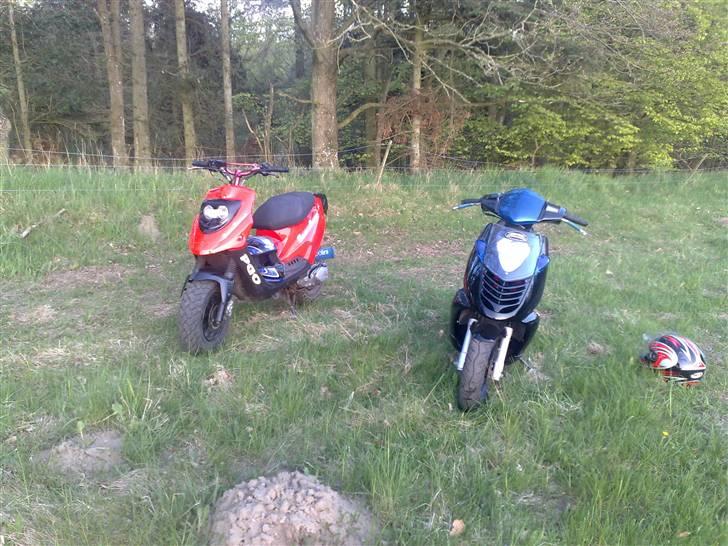 PGO hot 50 [byttet] billede 9