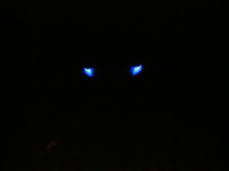 Aprilia sonic solgt billede 6