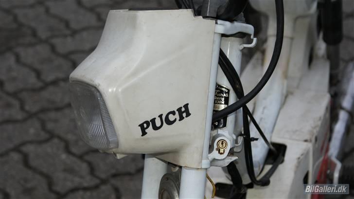 Puch mini maxi  billede 9