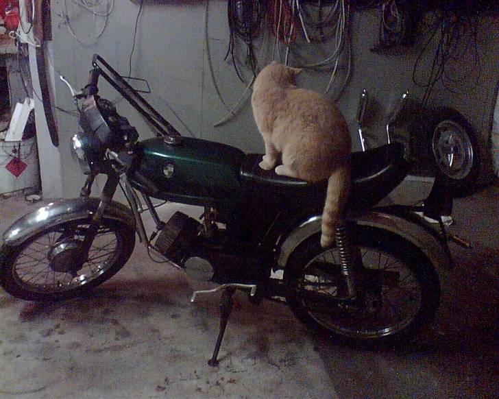 Puch monza 3 gear SOLGT!!! - før!! billede 8