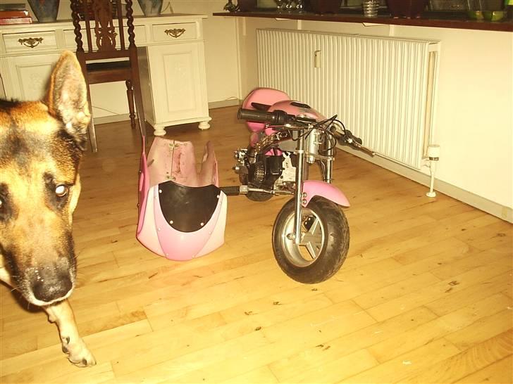 MiniBike 49 cc pink panter billede 3