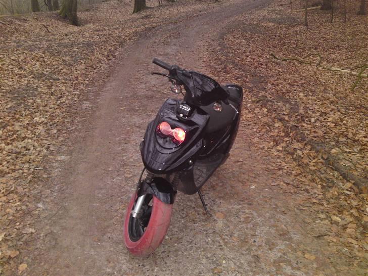 PGO Hot 500:b TS! billede 2