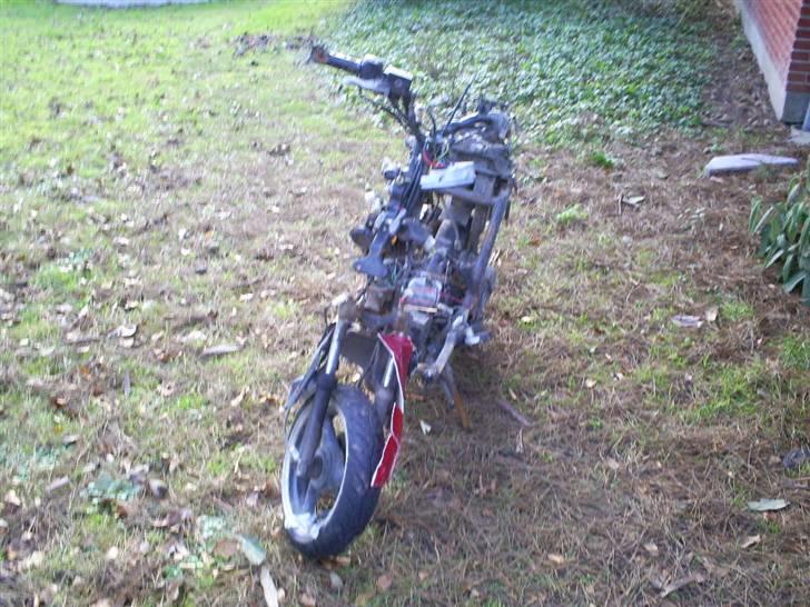 Giantco sprint  solgt - nye billede 8