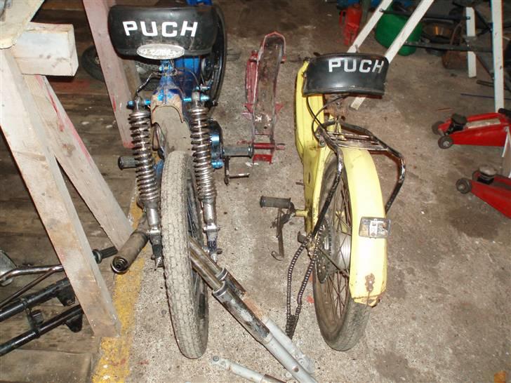 Puch maxi k/p1  billede 10