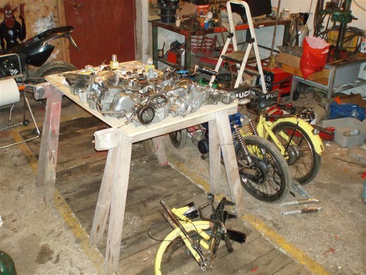 Puch maxi k/p1  billede 17