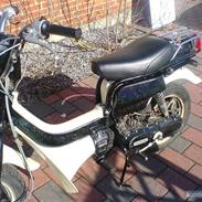 Suzuki fz 50