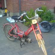 Puch maxi