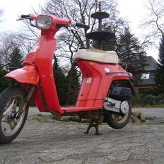 Honda Melody (Projekt)