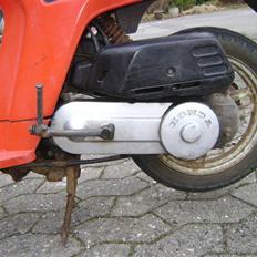 Honda Melody (Projekt)