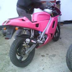 Derbi Gpr BRANDT