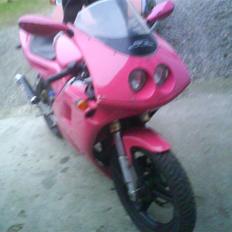 Derbi Gpr BRANDT