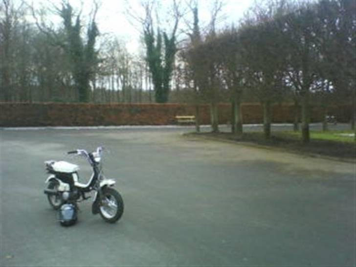 Suzuki Fz50 [SOLGT] billede 2