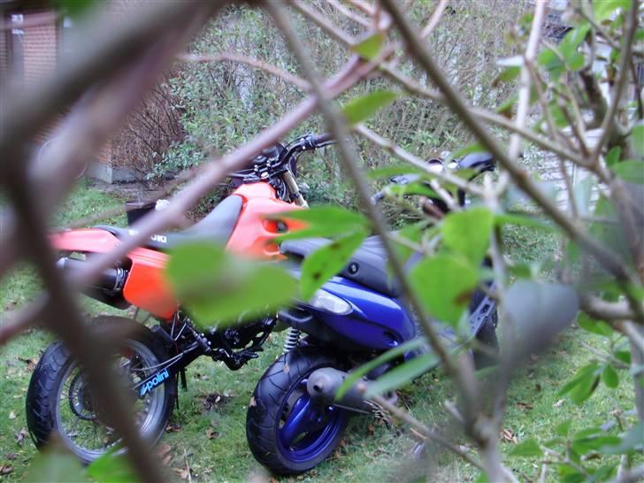 Suzuki SMX (solgt) billede 9