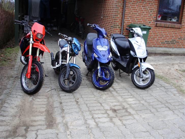 Suzuki SMX (solgt) - sammen med vennernes scooter og min dejlige kymco billede 11