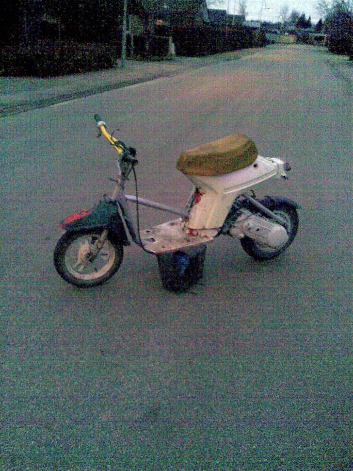 Honda Melody billede 4