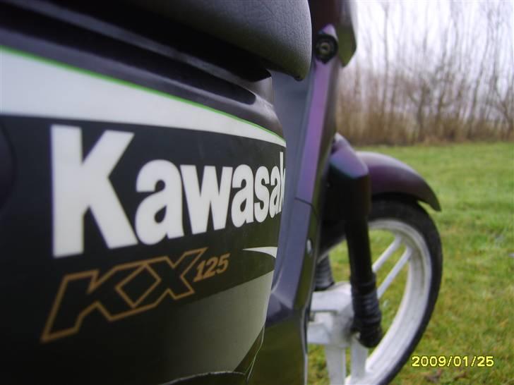 Honda Wallaroo solgt billede 17