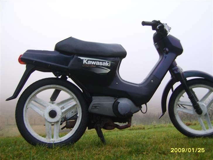 Honda Wallaroo solgt billede 18