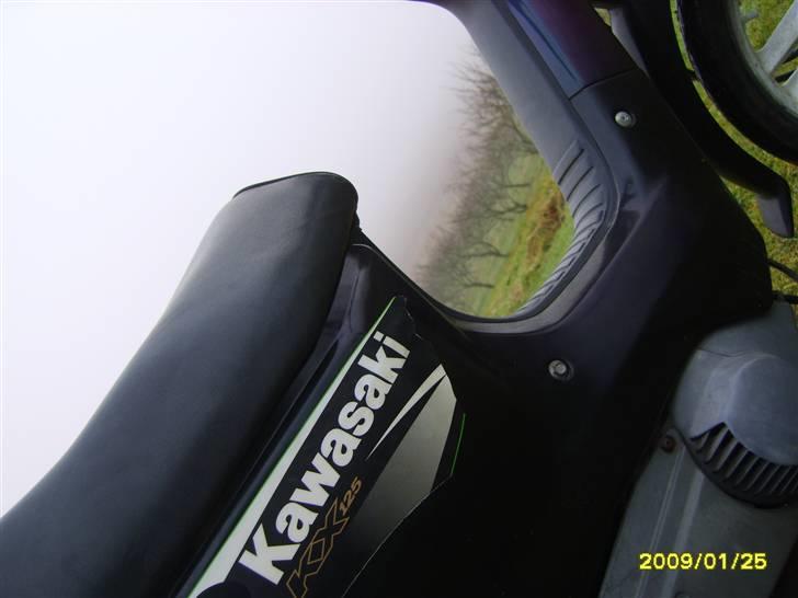 Honda Wallaroo solgt billede 19