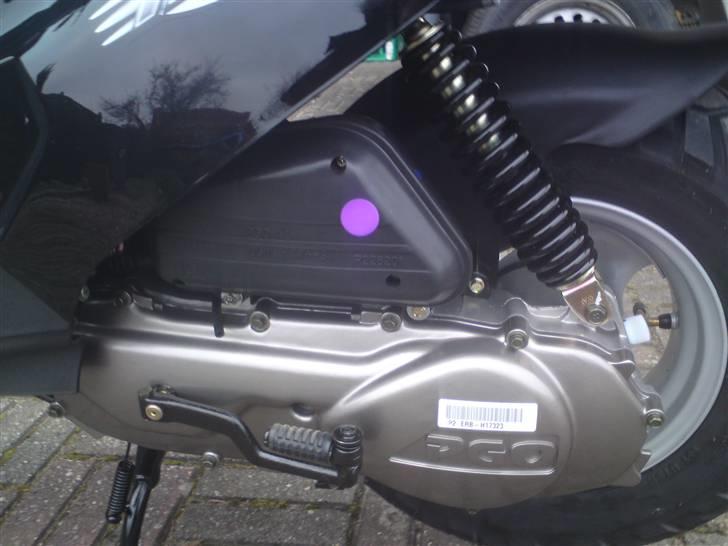 PGO hot 50 billede 7