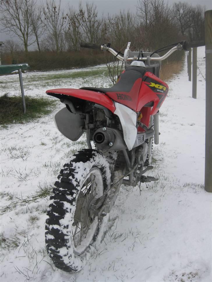 Honda XR 80R billede 3