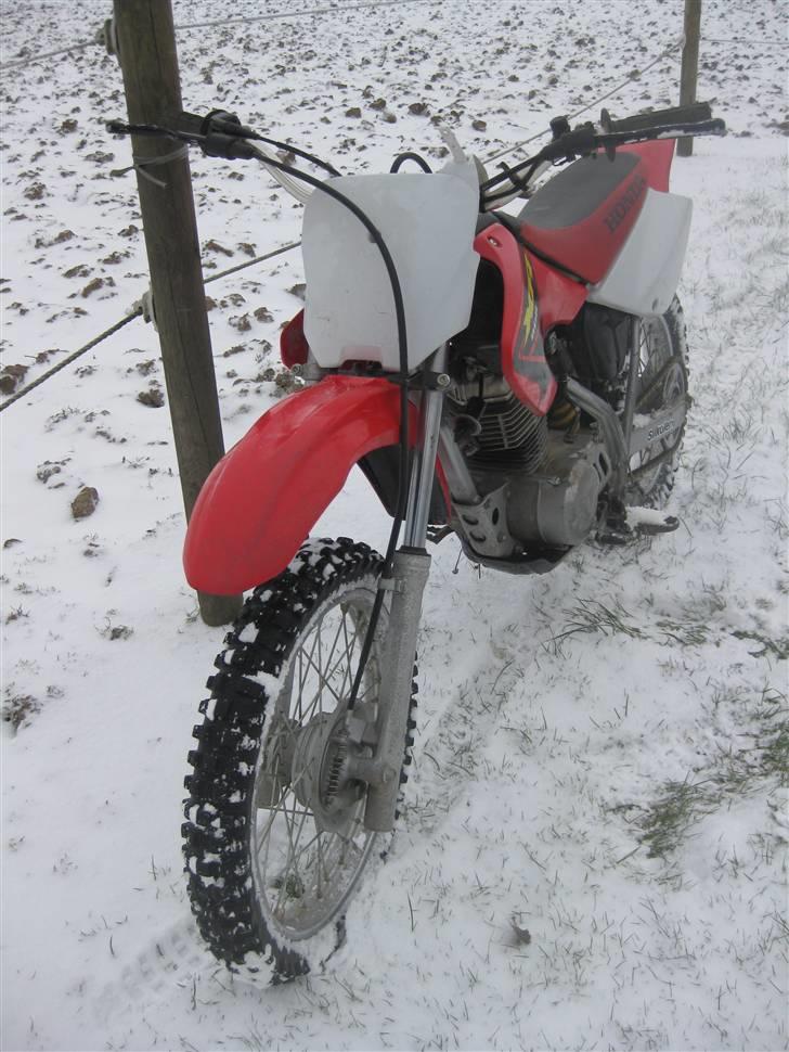 Honda XR 80R billede 5