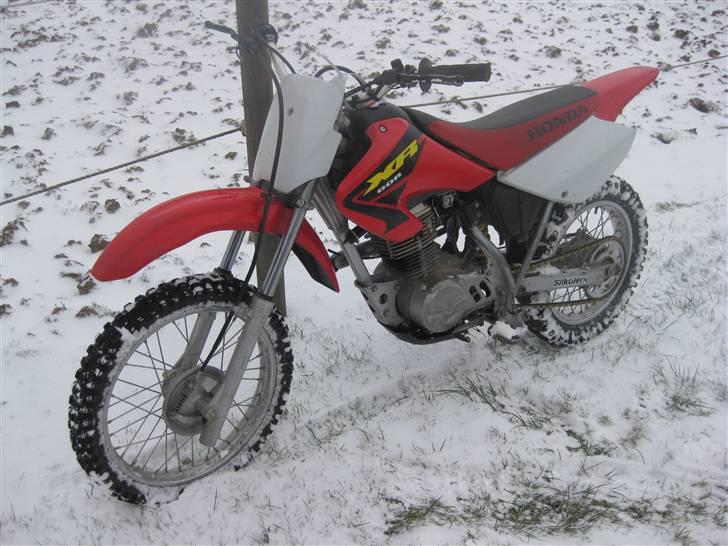 Honda XR 80R billede 6