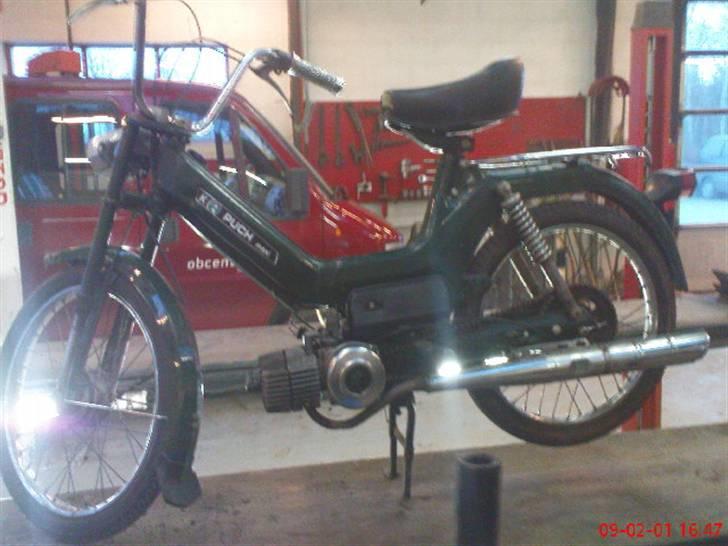 Puch maxi kl ''død'' billede 10
