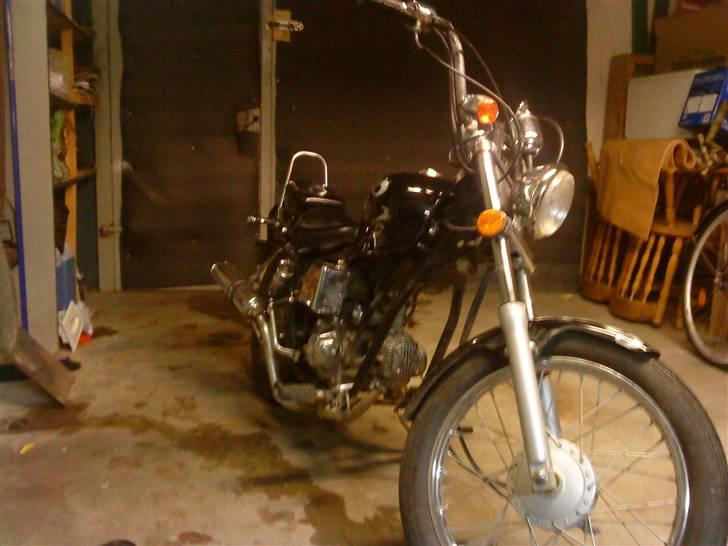 Regal raptor billede 1