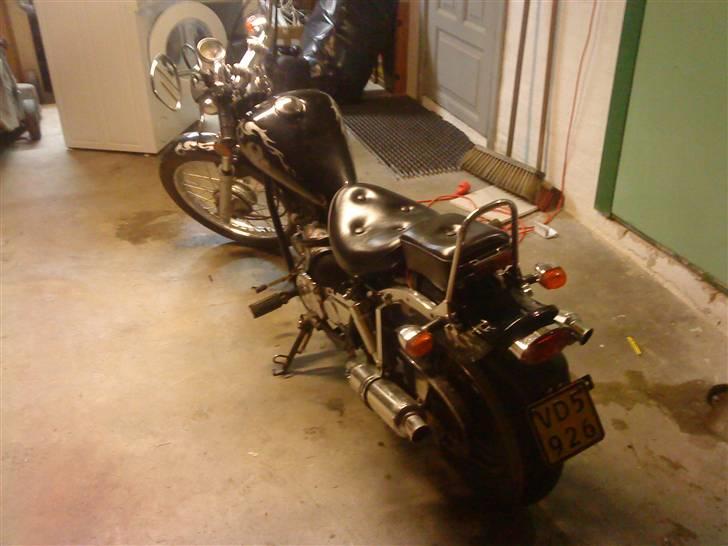 Regal raptor billede 4