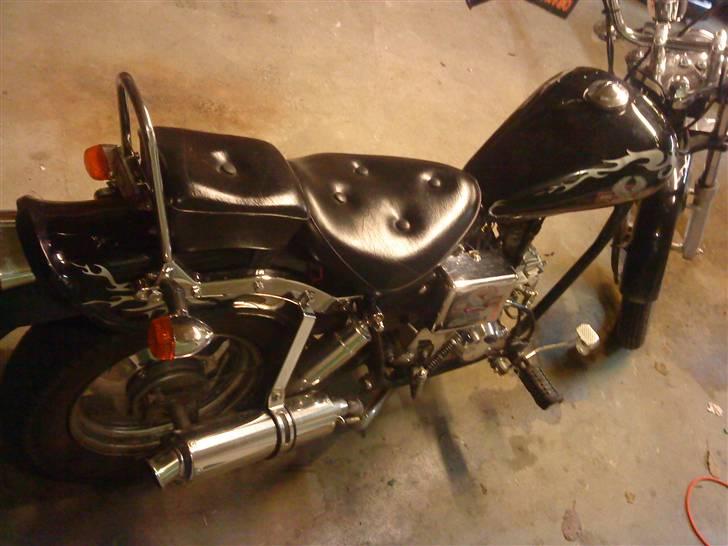 Regal raptor billede 5