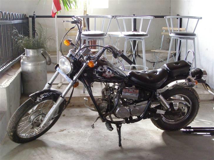 Regal raptor billede 7