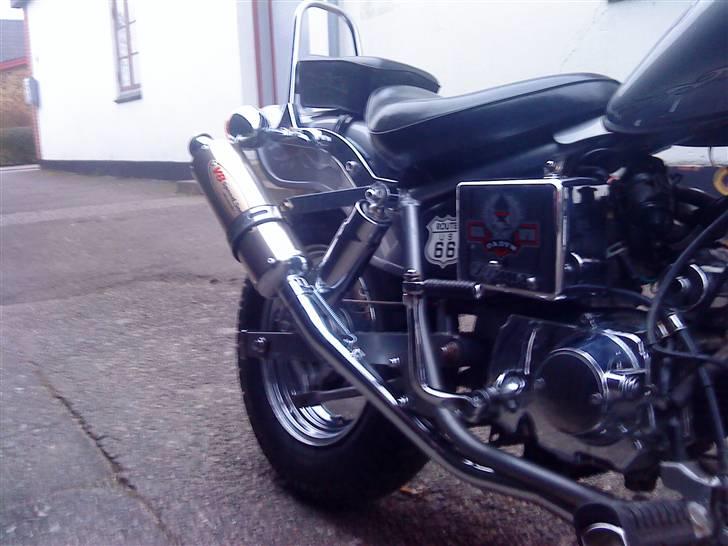 Regal Raptor [Byttet] billede 9