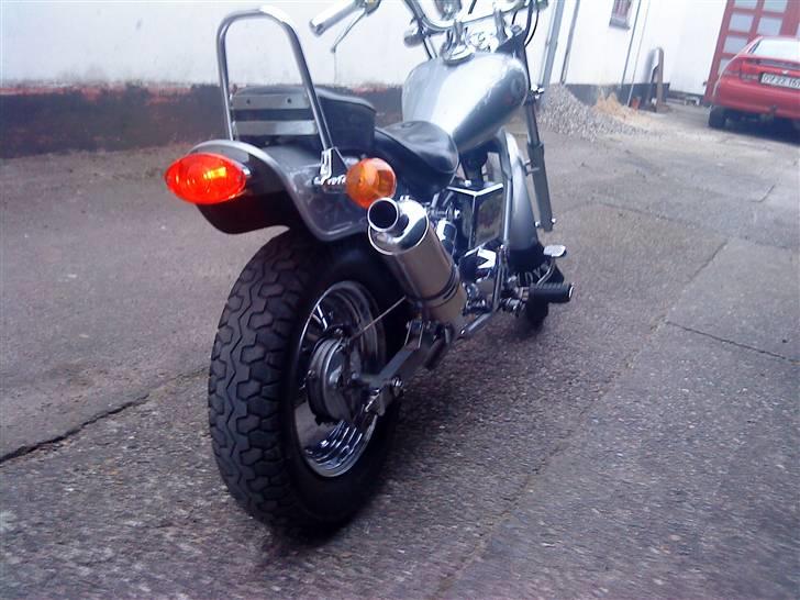 Regal Raptor [Byttet] billede 10