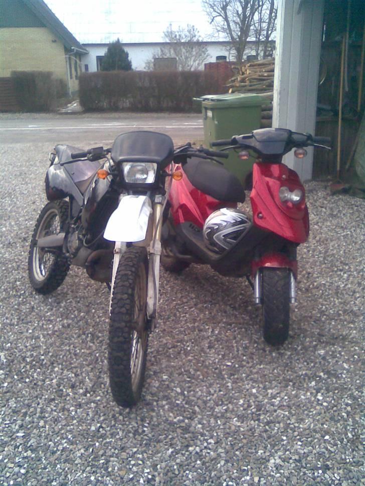 PGO hot 50 solgt billede 2