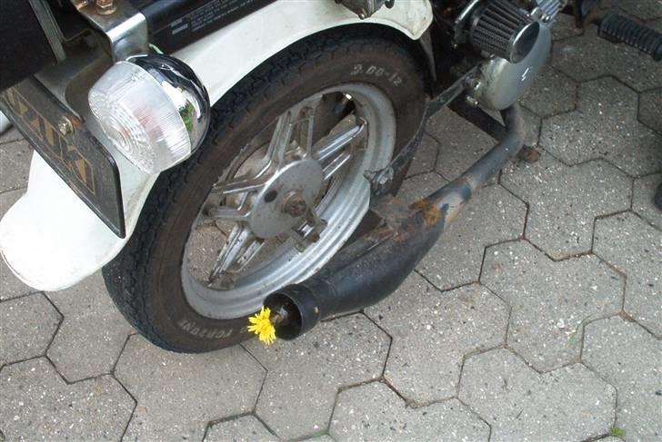 Suzuki fz50 billede 3