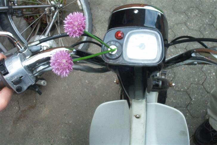 Suzuki fz50 billede 4