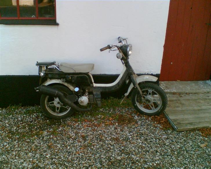 Suzuki fz50 billede 11