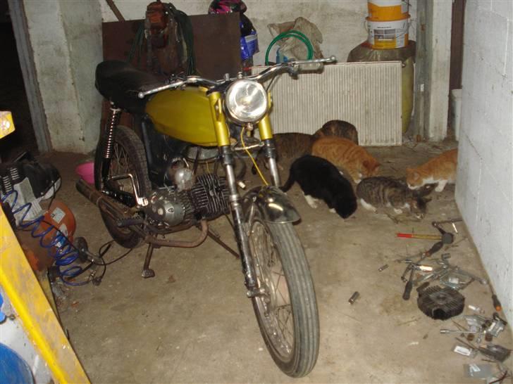 Puch monza 3g solgt billede 5