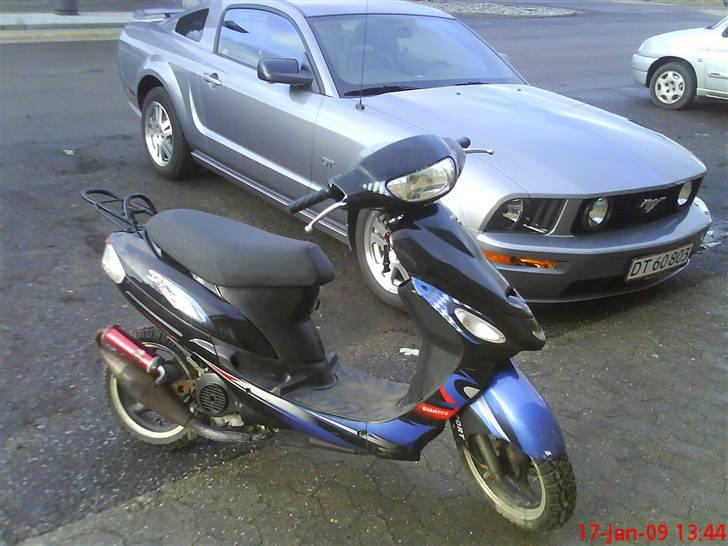 Giantco Sprint ( solgt ) billede 1