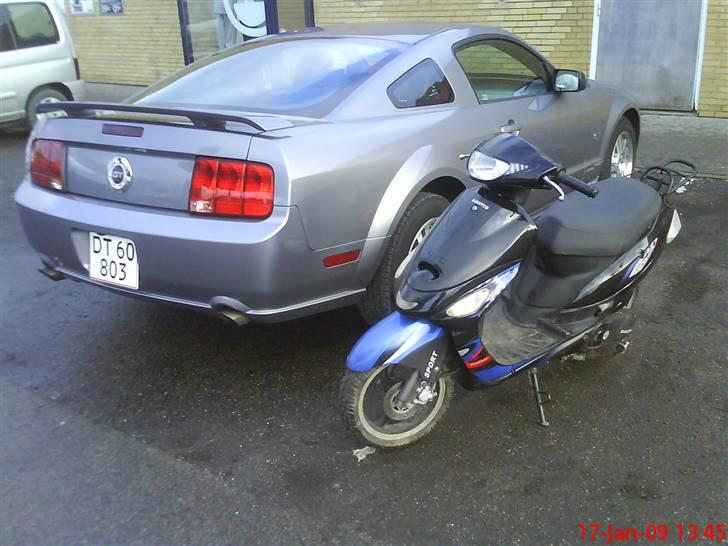 Giantco Sprint ( solgt ) billede 4